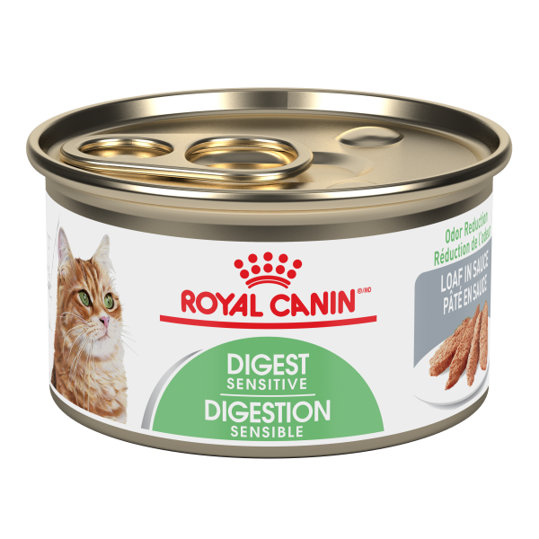 Royal Canin Digest Loaf Cat Canned Food 85g