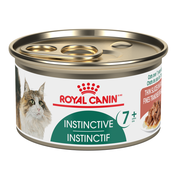 RC FHN Instinctive 7+ Thin Slices in Gravy 85g