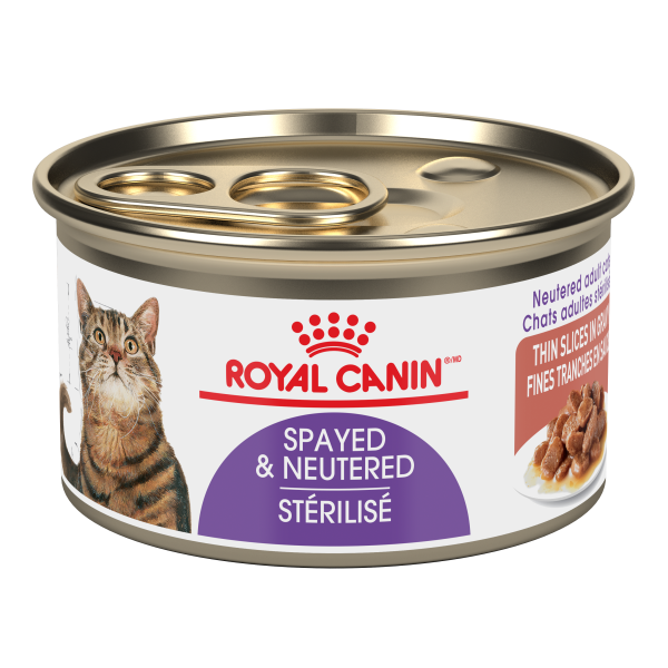 RC FHN Spayed Neutered Thin Slices in Gravy 85g