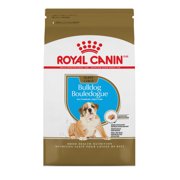 RC BHN Bulldog Puppy 30lbs