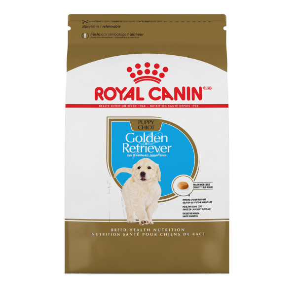 RC BHN Golden Retriever Puppy 30lbs