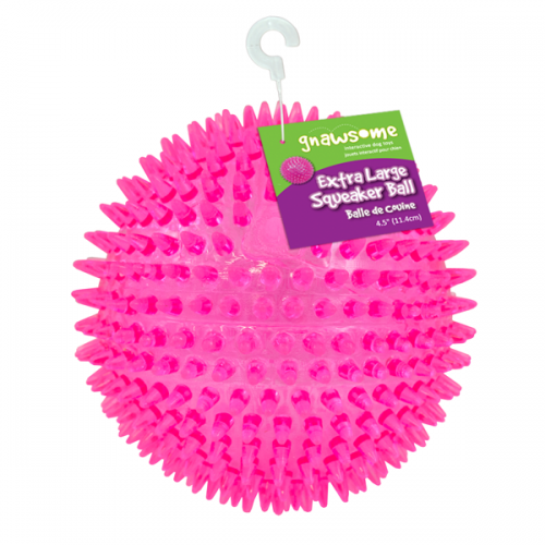 Royal Pet Gnawesome Ball 4.5" Squeaks & Lights Up