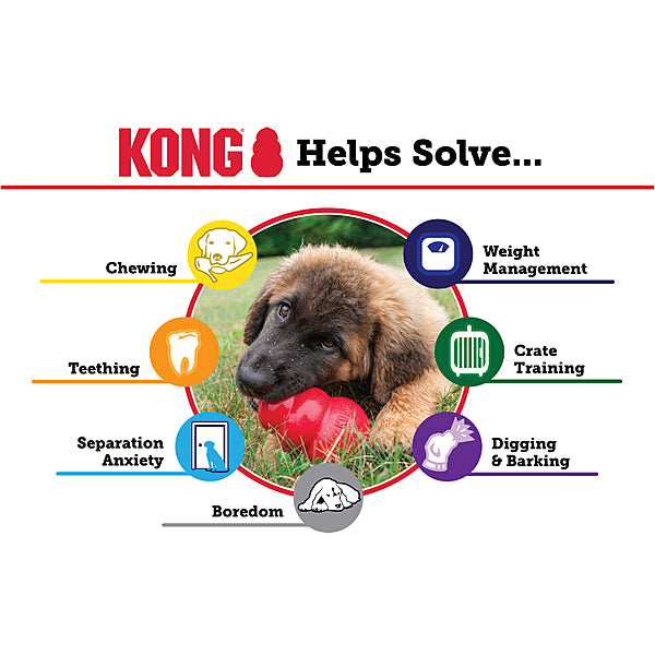 KONG Senior Purple Medium
