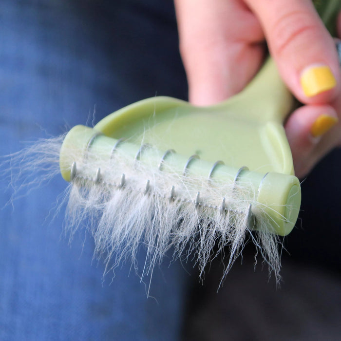 Safari Shed Magic Medium Dogs