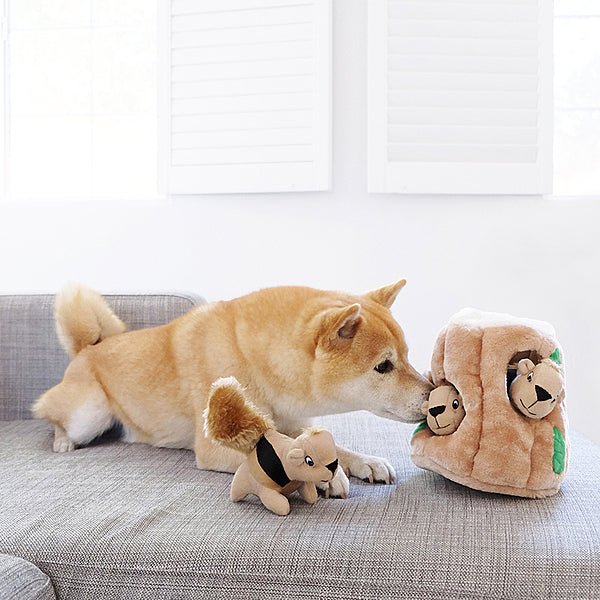 OH Hide-A-Squirrel Large