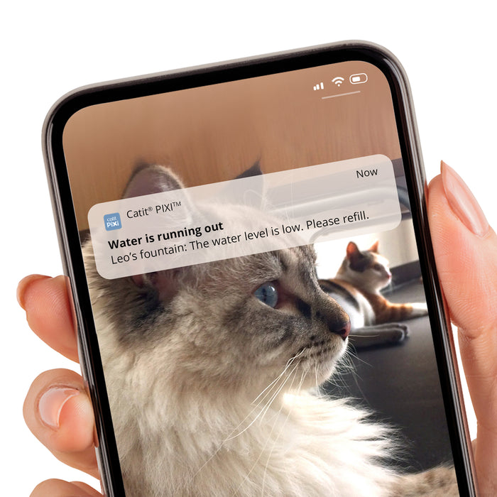 Catit Pixi Smart Drinking Fountain w/ RC App