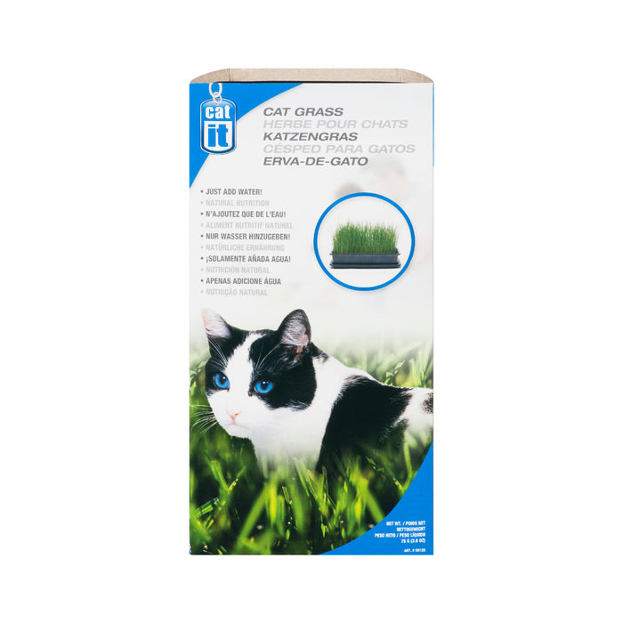 Catit Cat Grass Kit 75gm