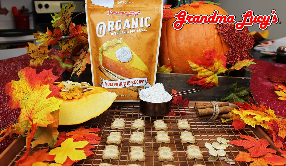 Grandma Lucy's Organic Oven Baked Treats Pumpkin Pie 8oz