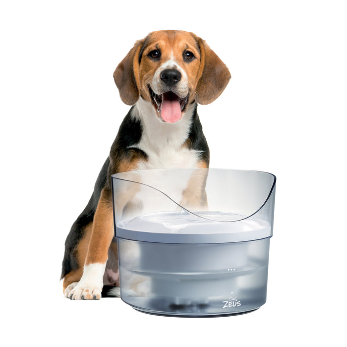 Zeus Translucent Drinking Fountain w/Splash Guard 1.5L