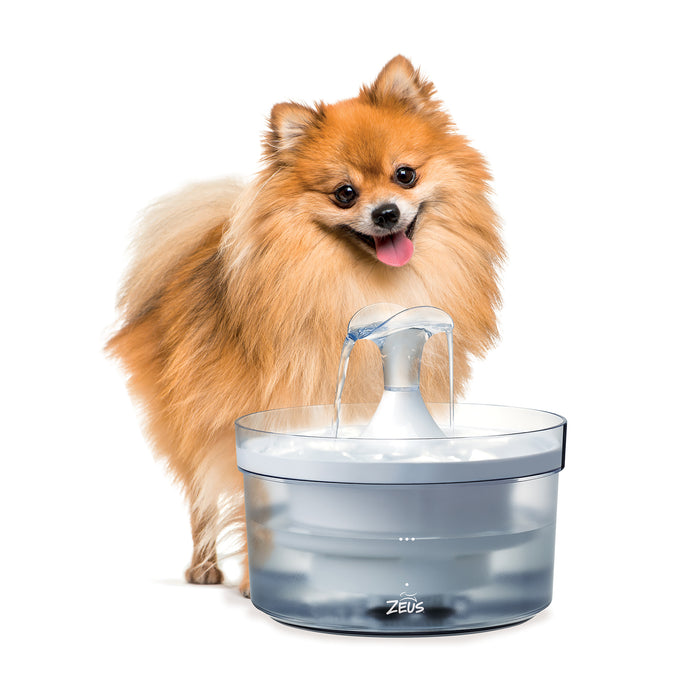 Zeus Translucent Drinking Fountain 1.5L
