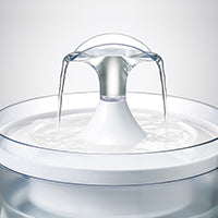 Zeus Translucent Drinking Fountain 1.5L