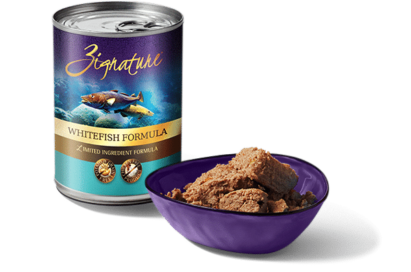 Zignature Whitefish Canned Dog Food 13oz