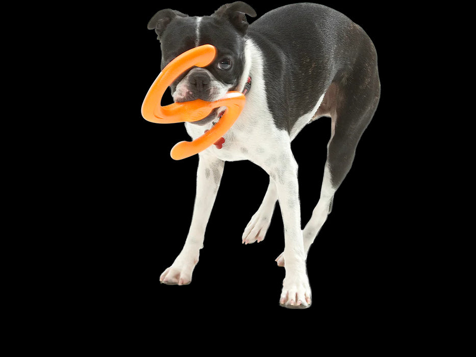 Bumi Large 9.5" Tangerine