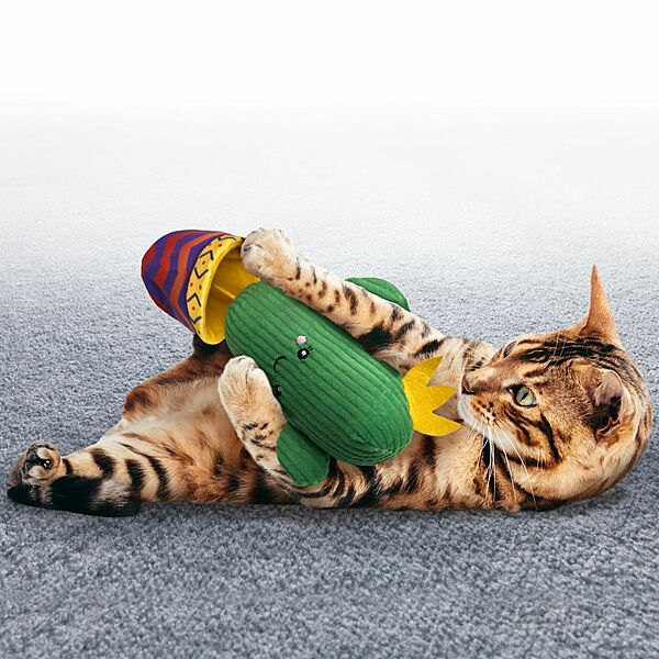 Kong Wrangler Cactus 3in1 Cat Toy