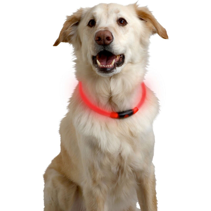 NiteHowl LED Safety Necklace Orange