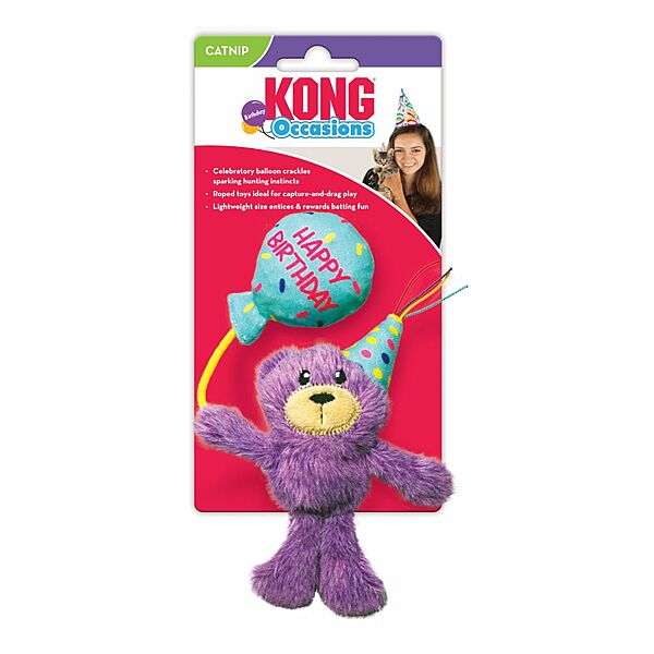 Kong Occasions Birthday Teddy | Cat
