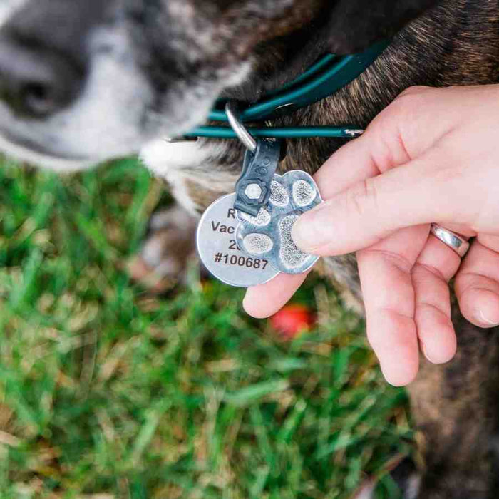 FreezeTags ID Silencers