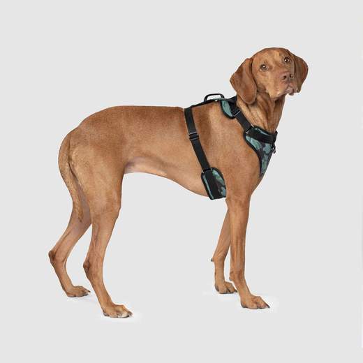 Canada Pooch Everything Harness