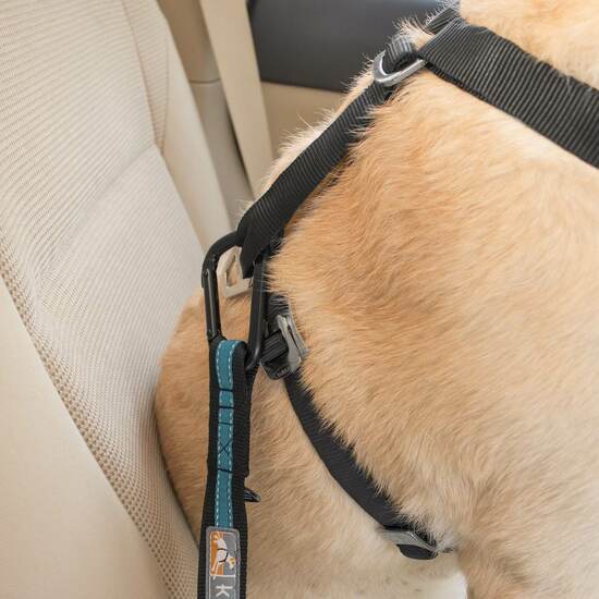Kurgo Direct to Seatbelt Tether Coastal Blue