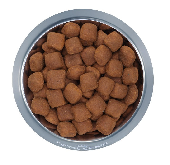 RC Giant Adult Dog Food 35lbs